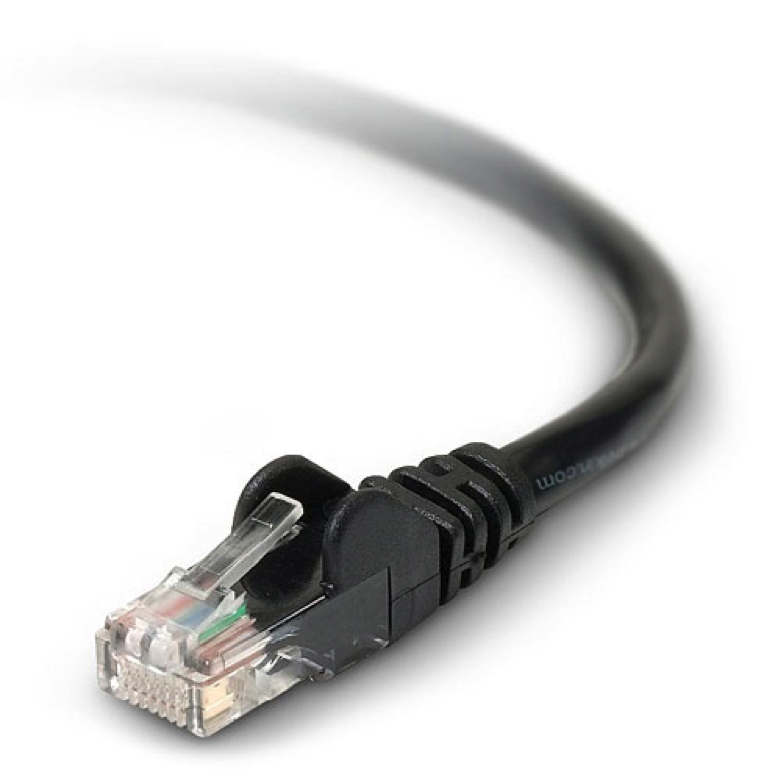 Ethernet-cable-male-end3.png#asset:1746