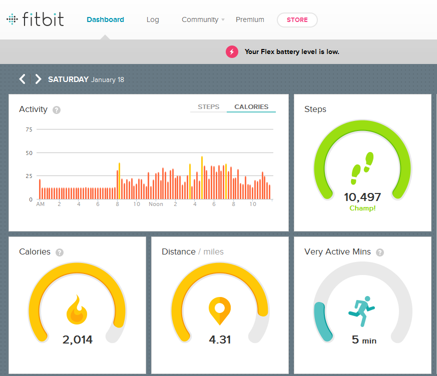 Fitbit_Dashboard2.png#asset:1885